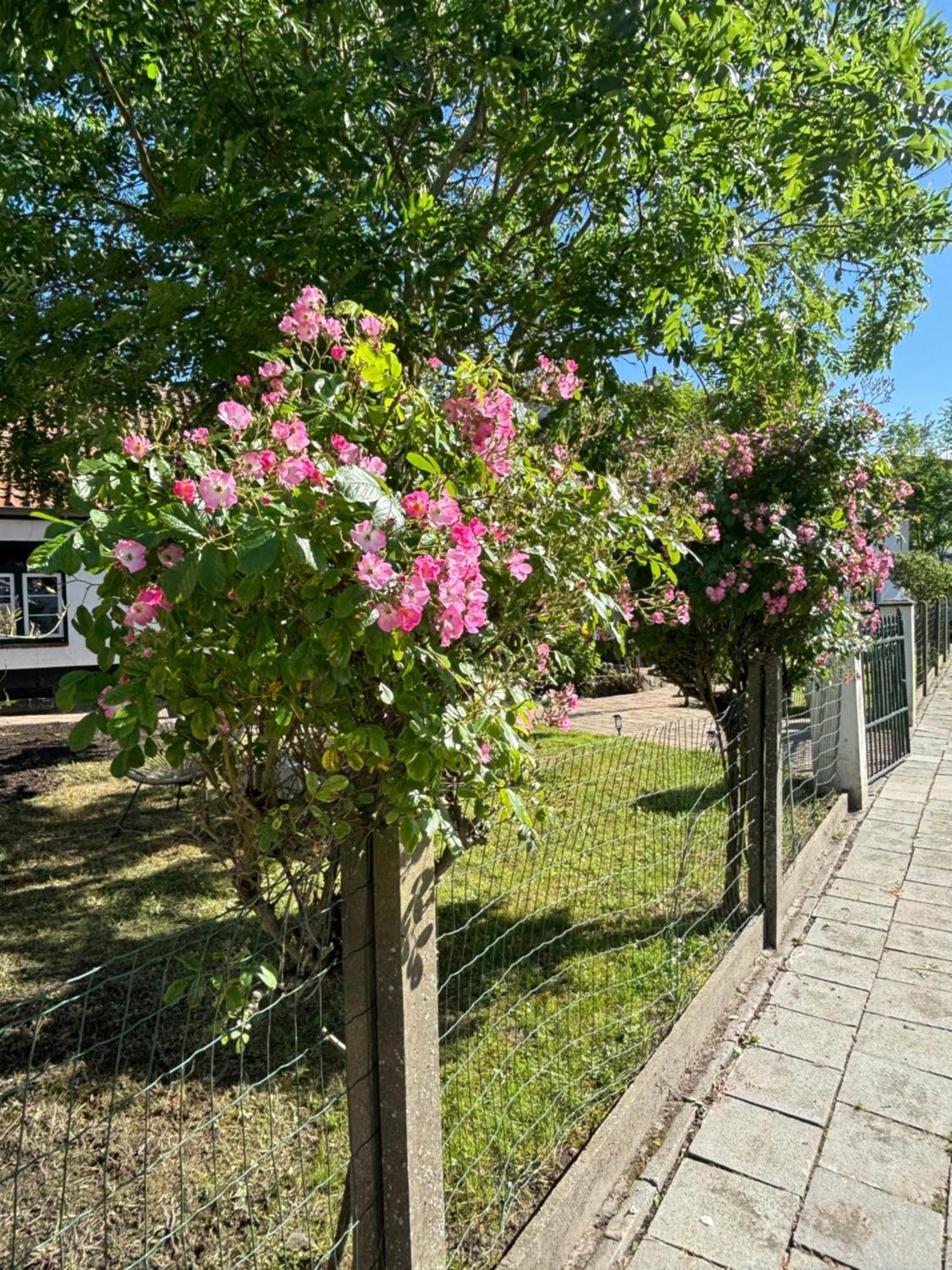 Het Relax Hoeveke Oostende Exteriör bild